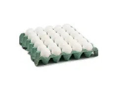 MAPLE DE HUEVO BLANCO MEDIANO