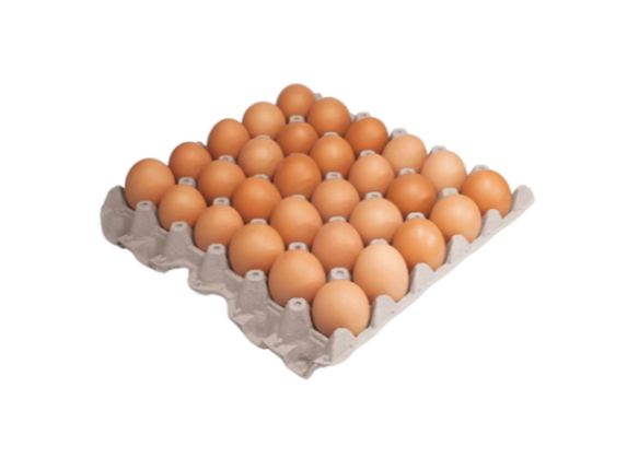 MAPLE DE HUEVO COLOR GRANDE