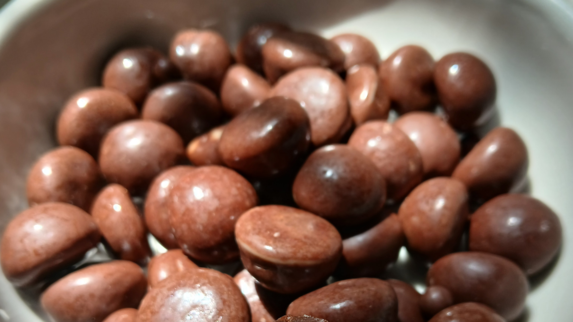 Delicias en chocolate
