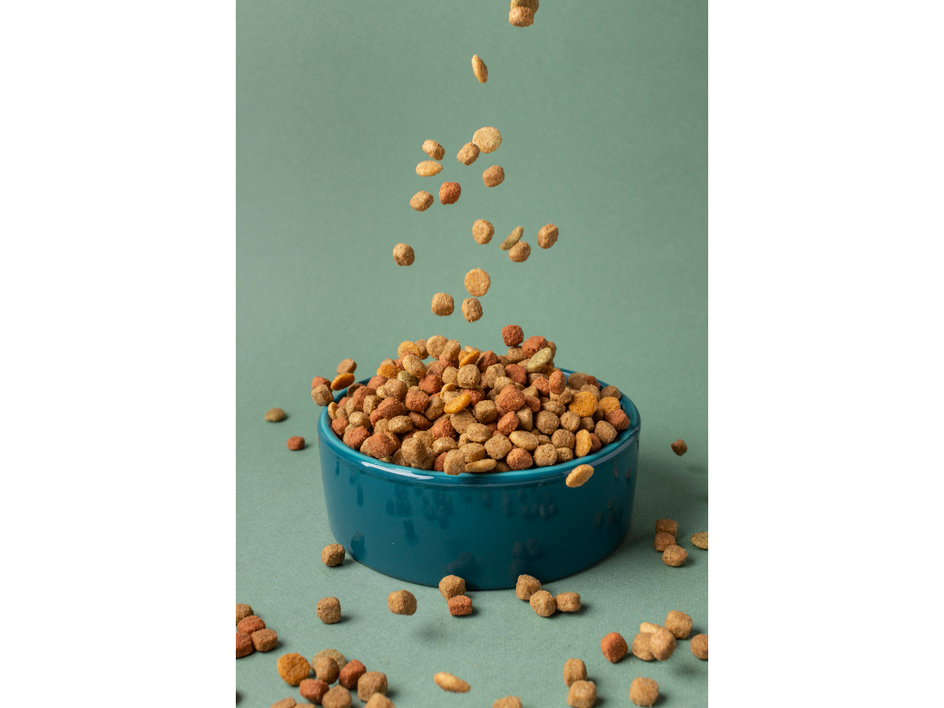 Alimento Balanceado Suelto