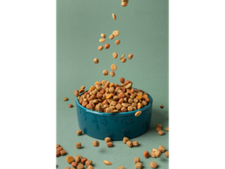 Alimento Suelto Perro