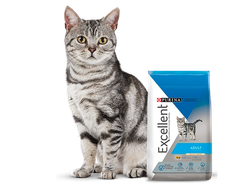 Excellent gato adulto x1Kg