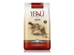 Yenú adulto