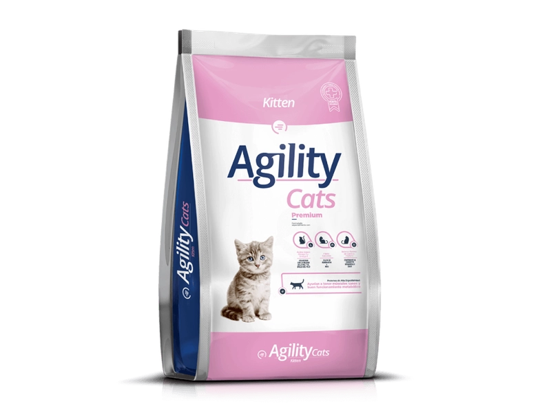 Agility Kitten