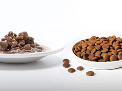 Alimento suelto Gato