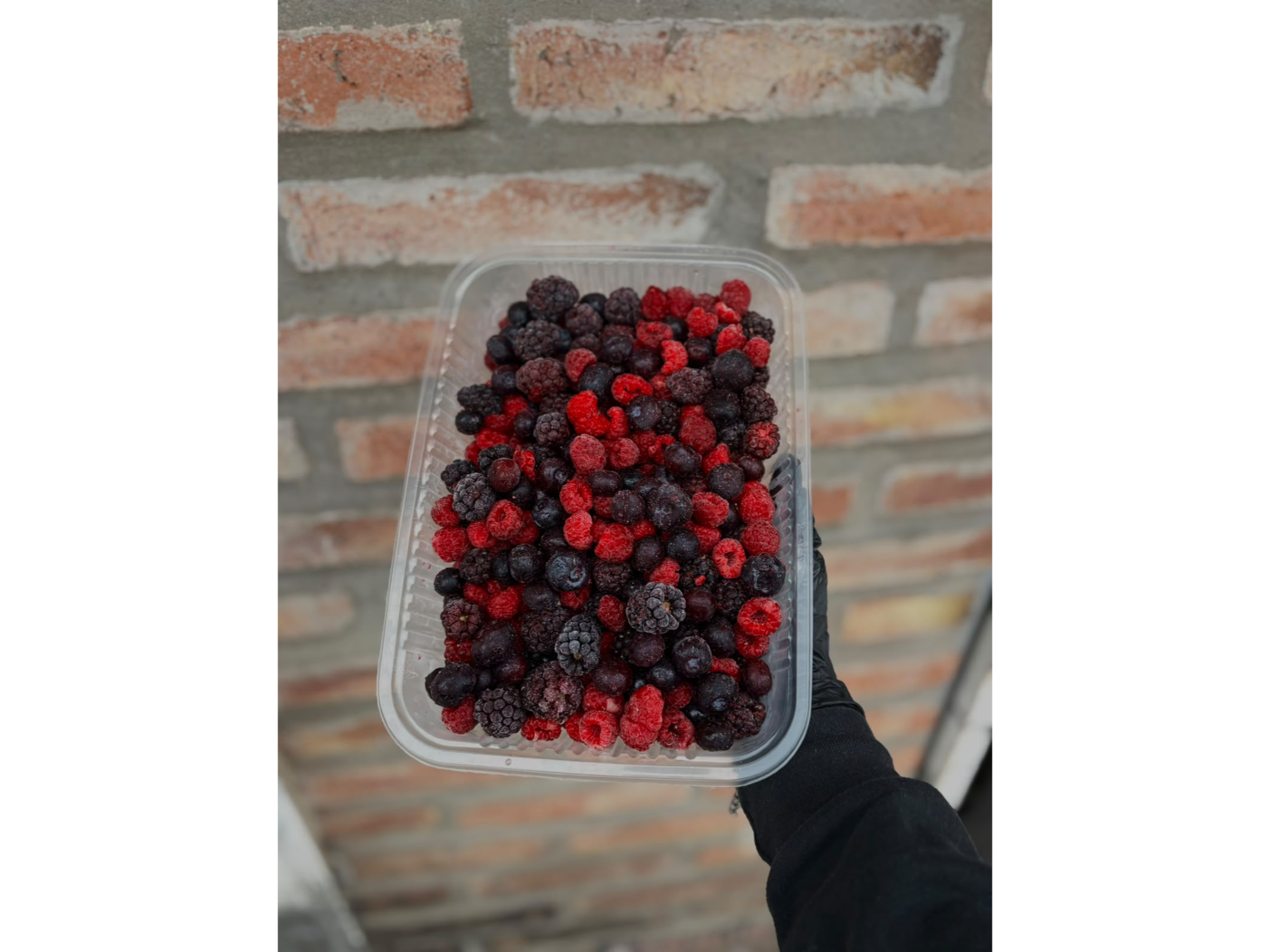 Frutos rojos SIN frutillas