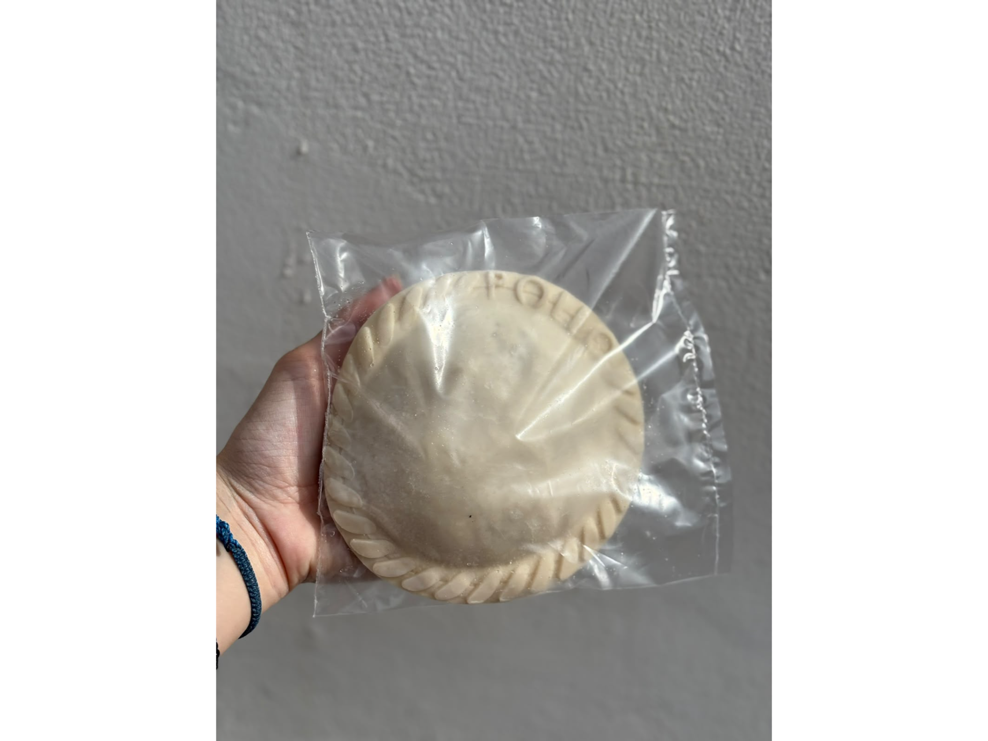Pollo al champignon x 200g