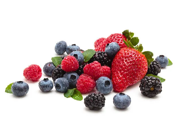 FRUTOS DEL BOSQUE