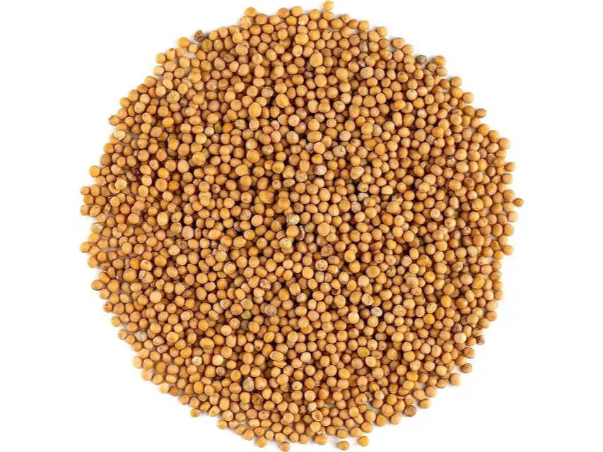 Mostaza en granos