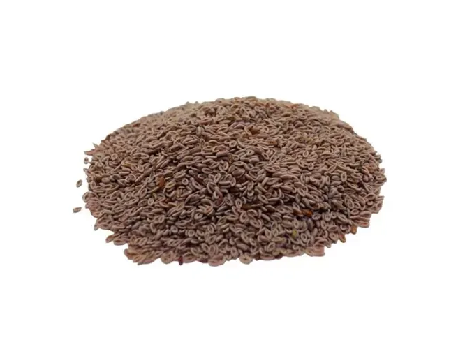 Psyllium