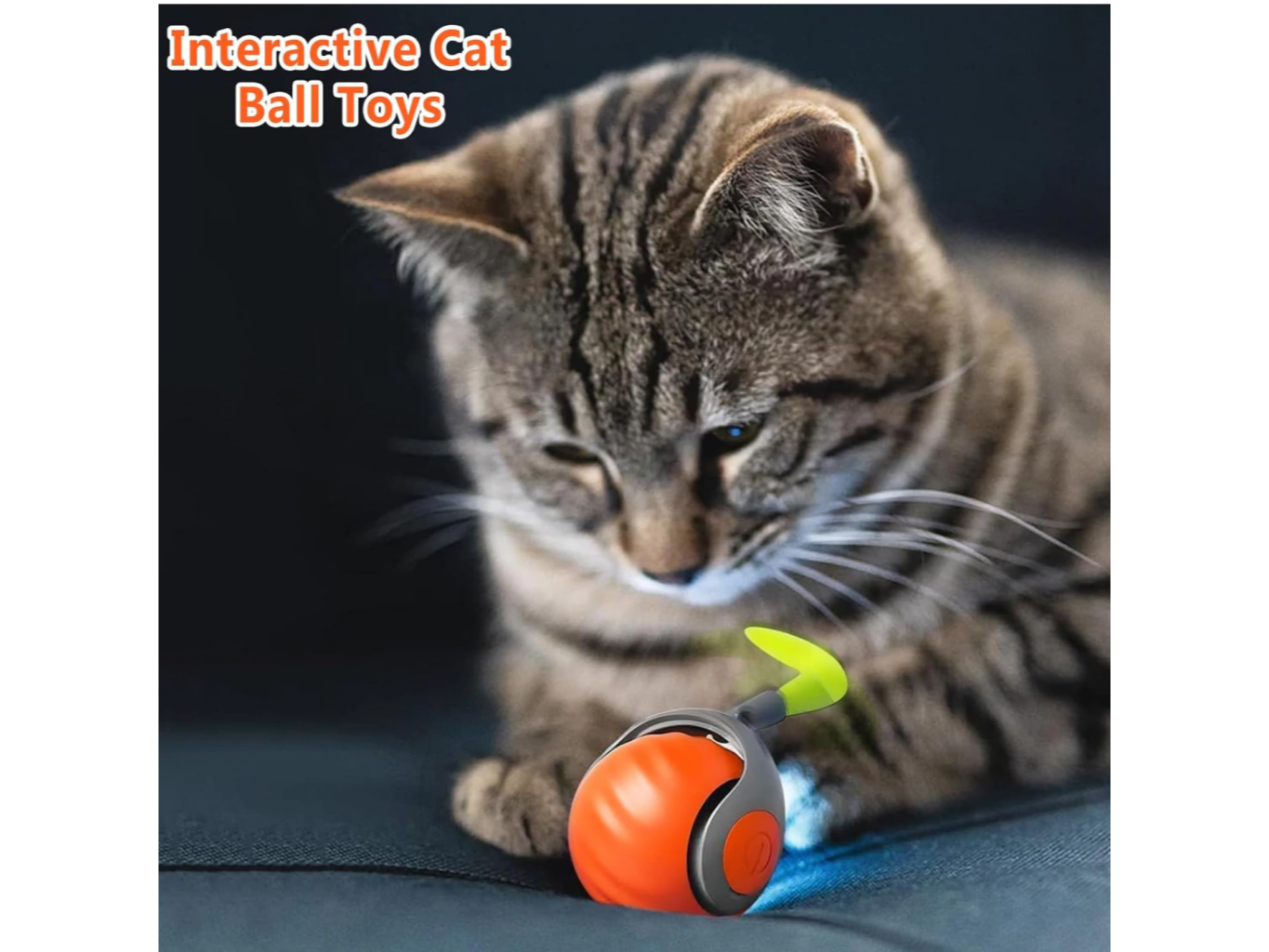 Pelota Inteligente Para Gato Usb Con Cola Divertida