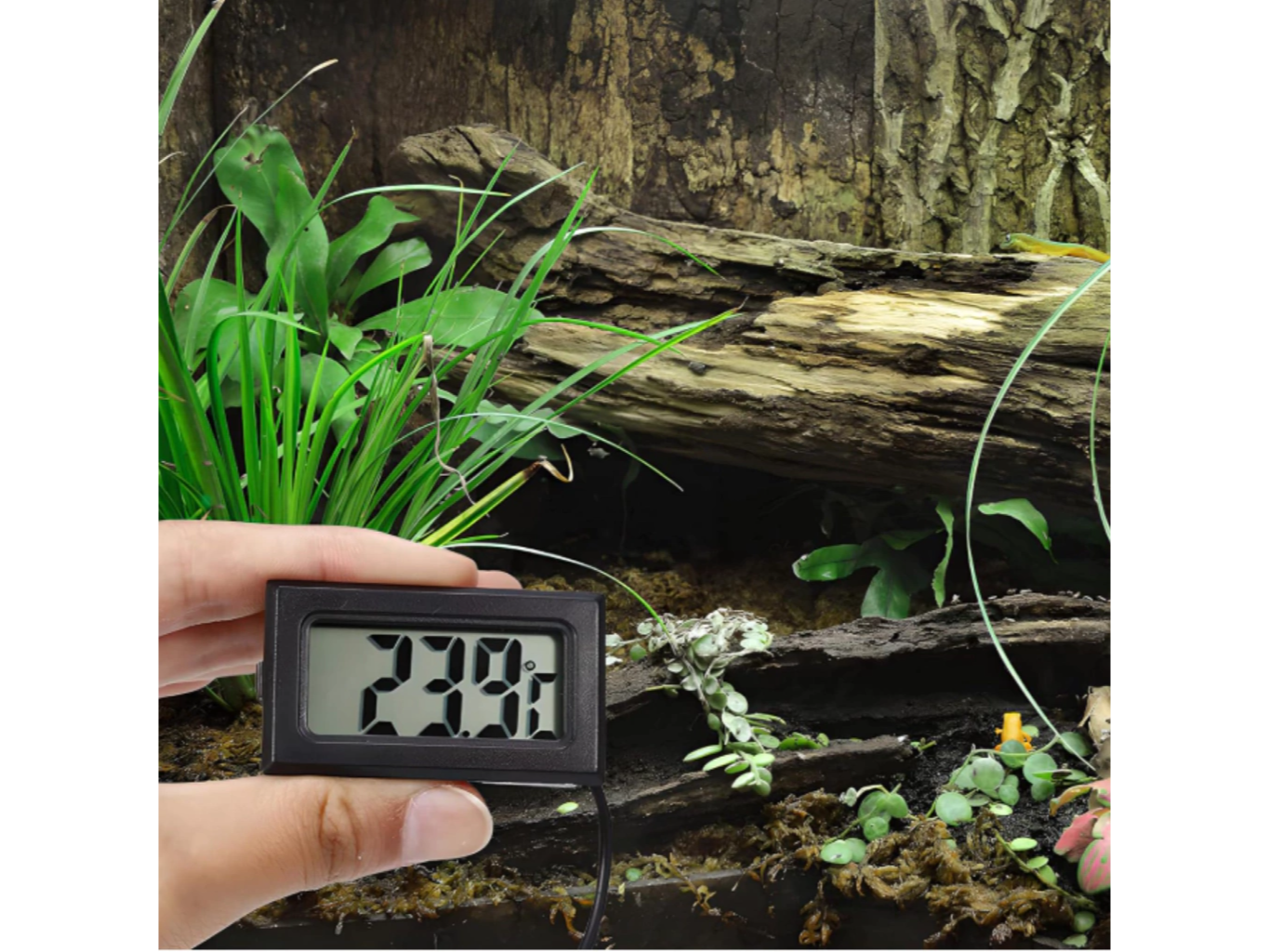 Termómetro Digital Con Sonda Ambiental Jardin Plantas Terrario