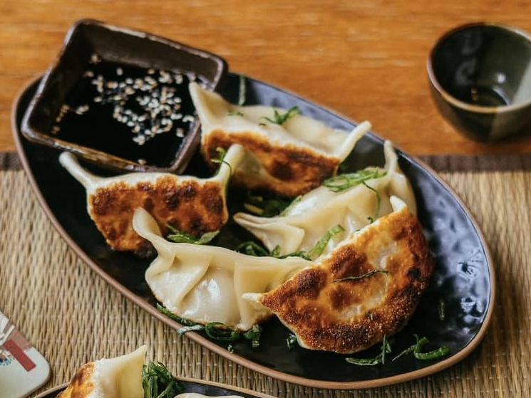 Gyozas combinadas