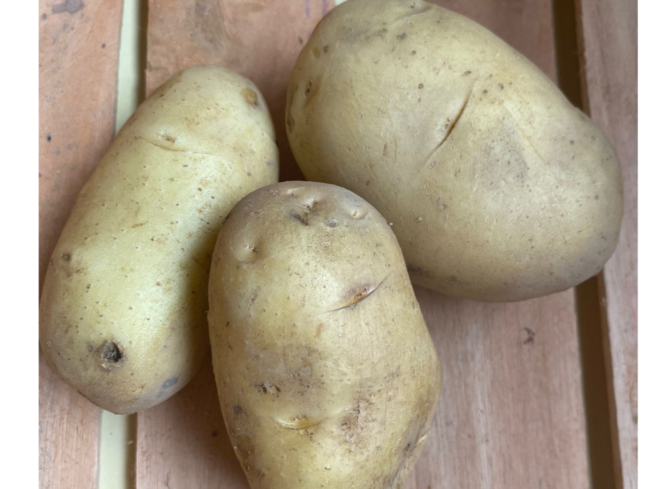 Bolsón Súper Verduras