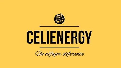 CELIENERGY