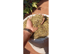 Yerba Agroecologica x 10 Kg.