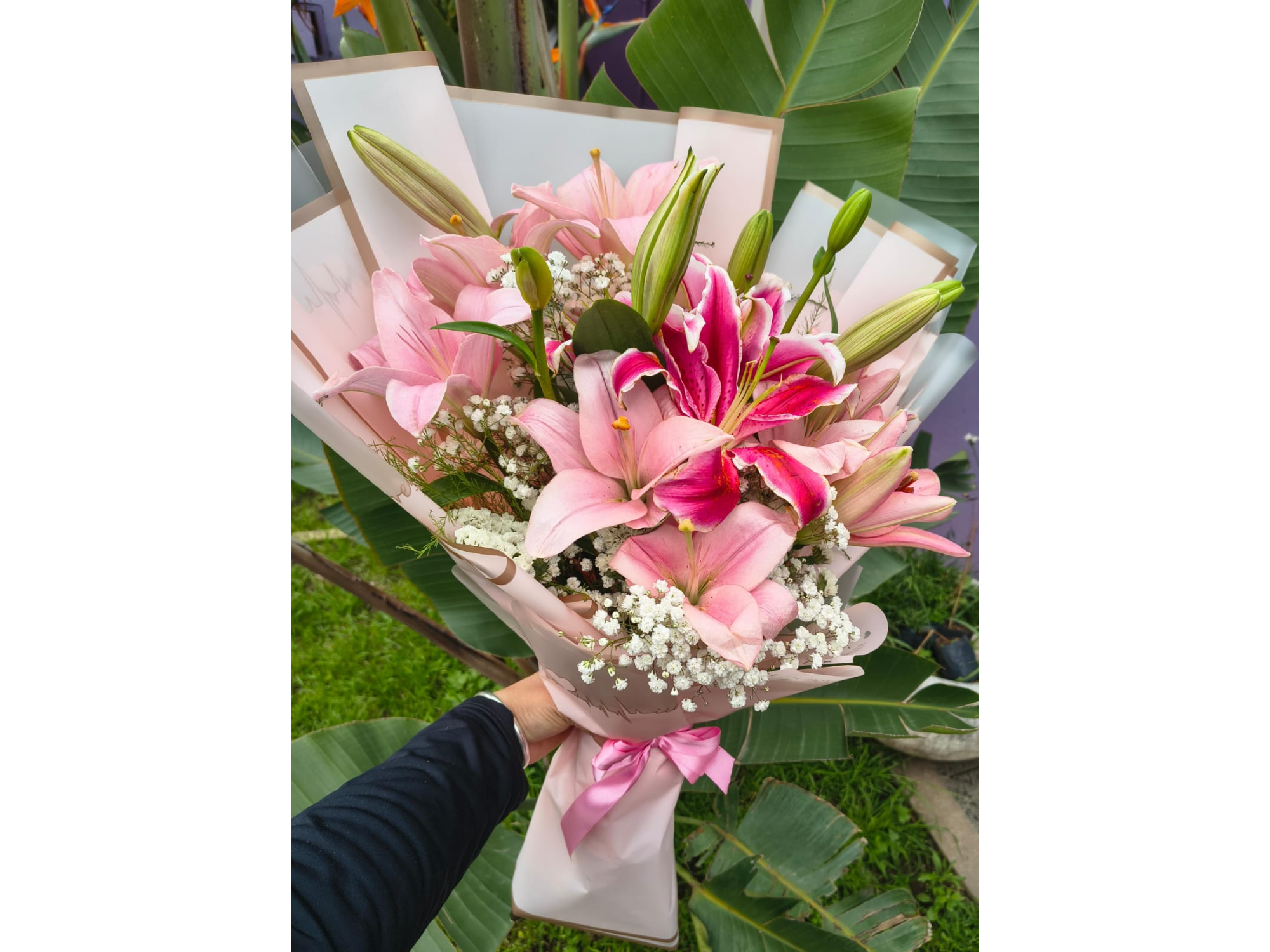 ENCANTO DE LILIUM