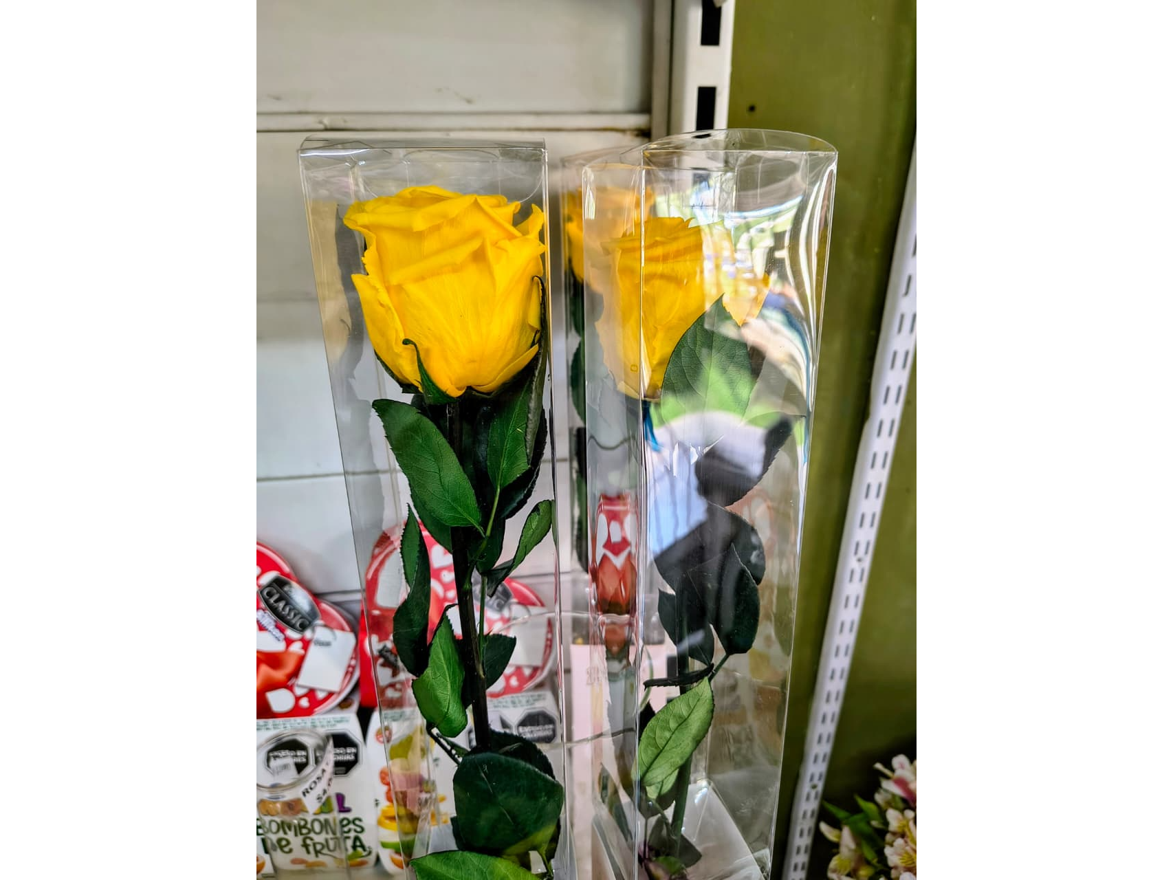 ROSA ECUATORIANA NATURAL ETERNA