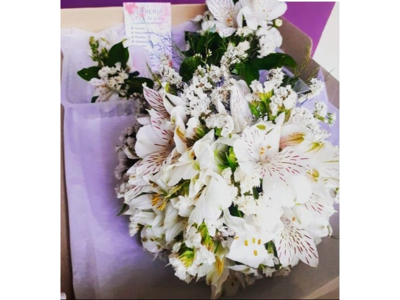 ASTROMELIAS BLANCAS