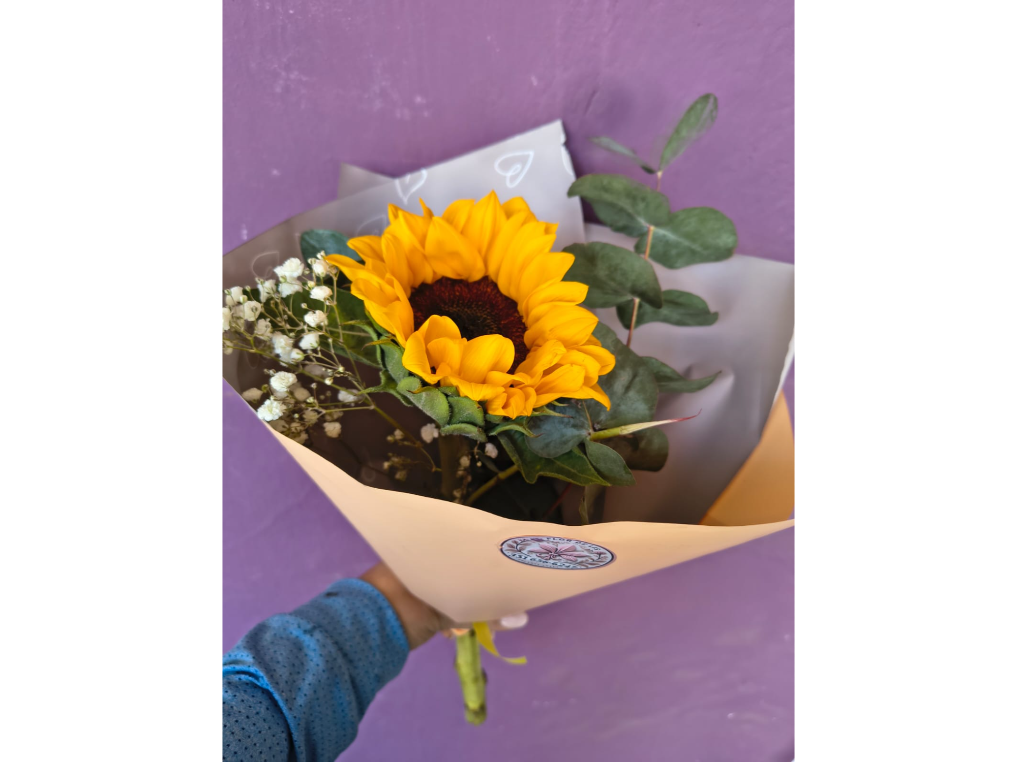 GIRASOL