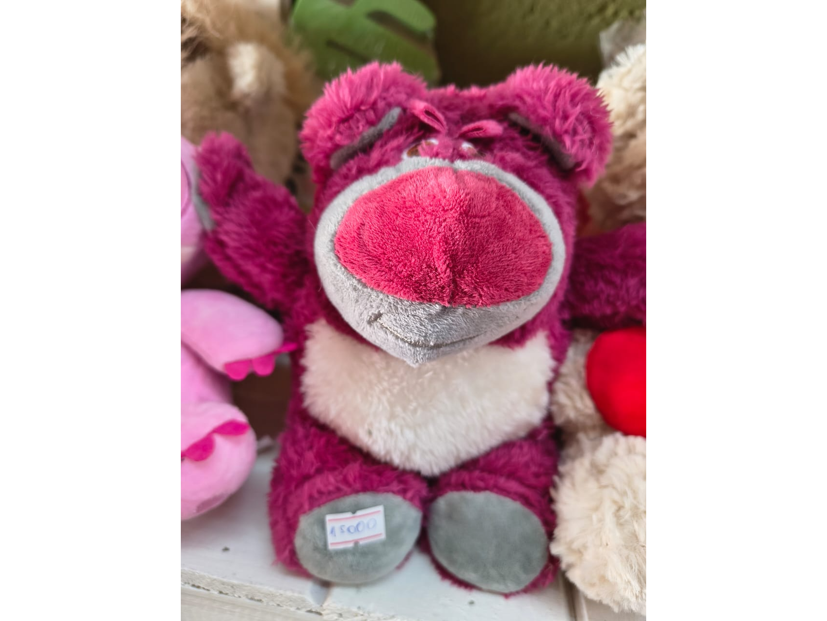 LOTSO CHICO