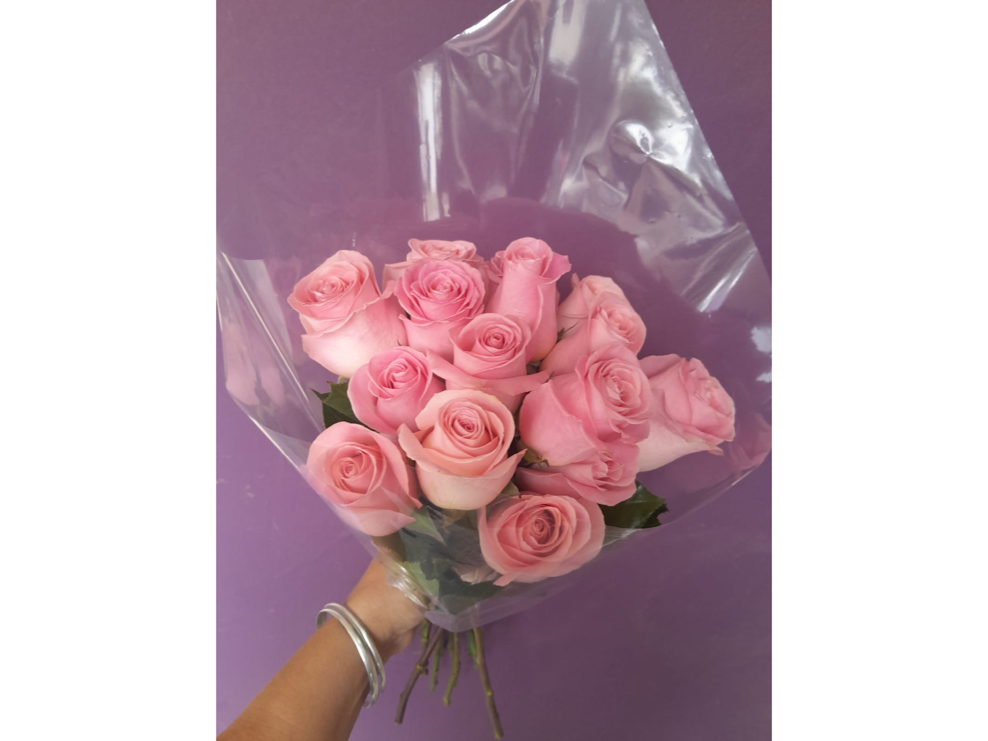 ROSAS PARA QUINCEAÑERAS