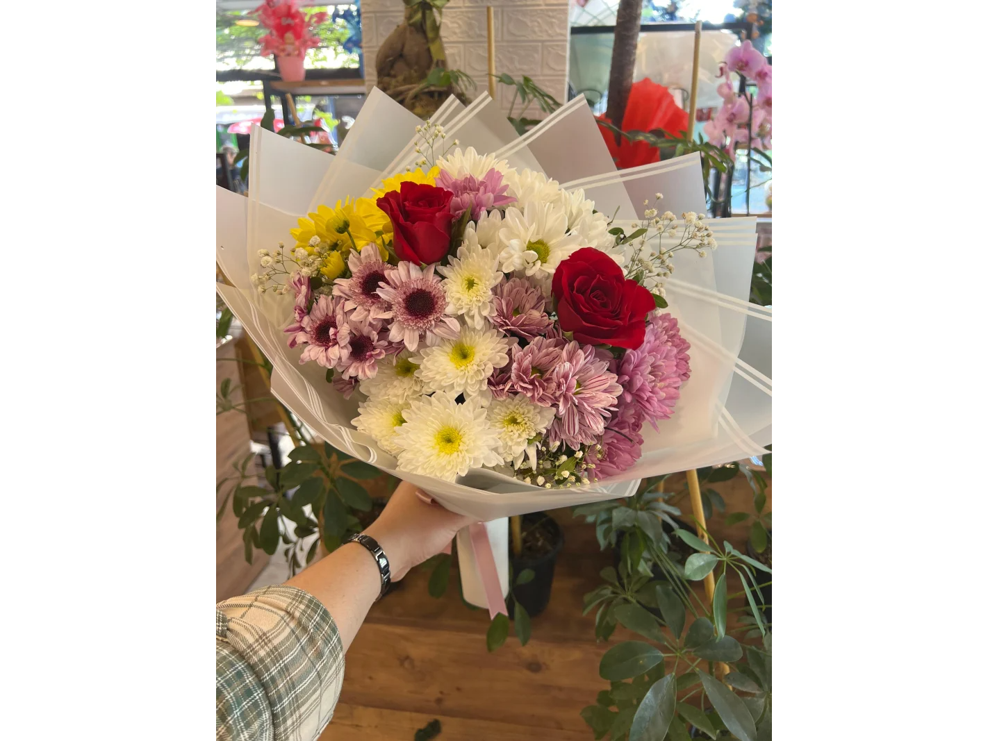 RAMO ROSAS Y MONTONERAS