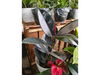 GOMERO BURGUNDY