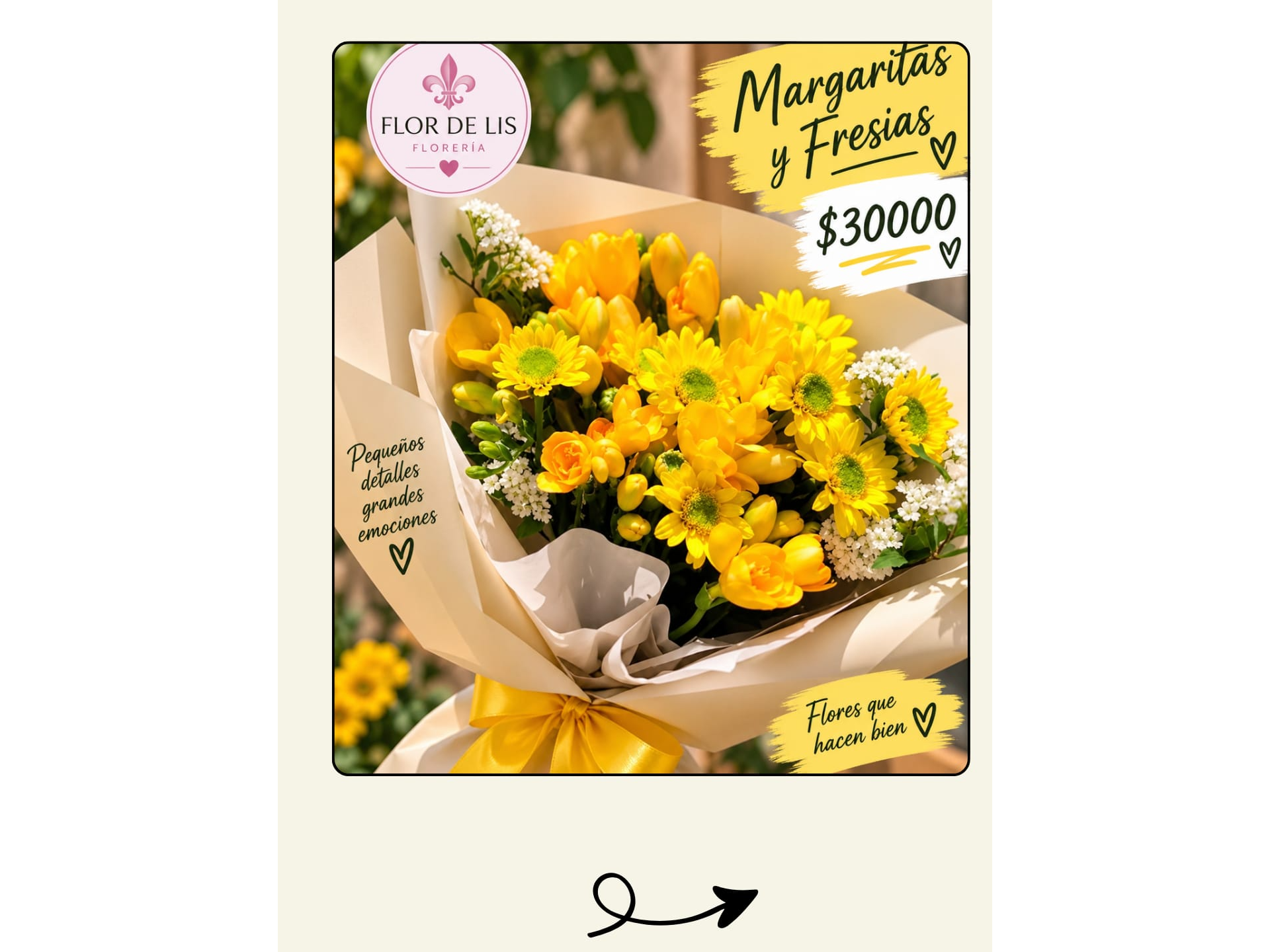 MARGARITAS Y FRESIAS
