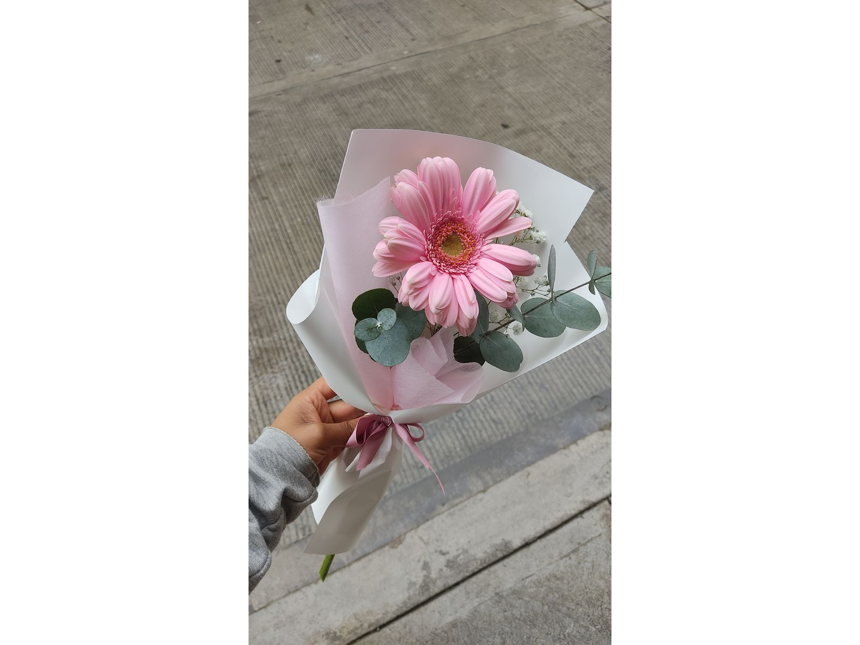 GERBERA PARA REGALO
