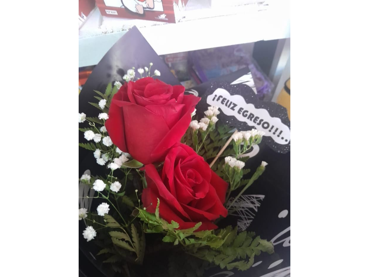 MINI EGRESO