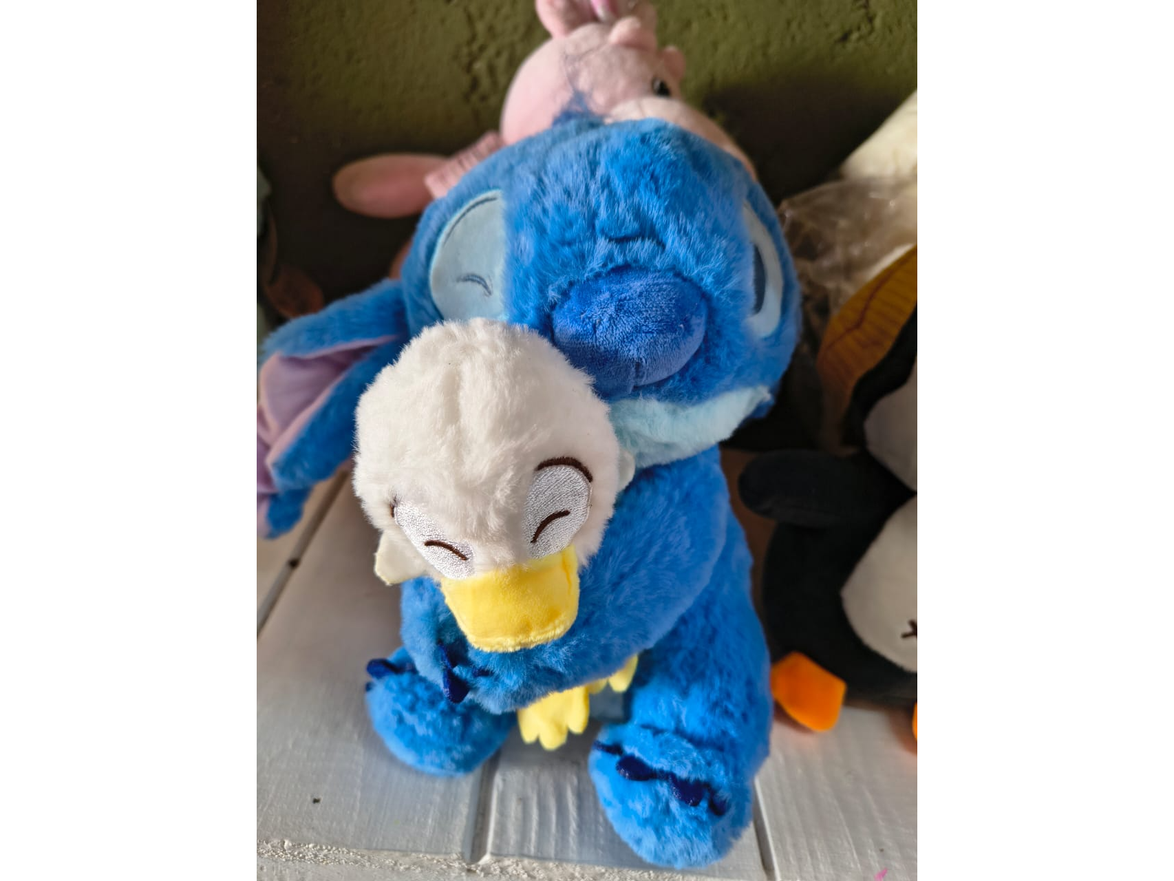 STICH CON PATO
