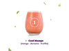 Smoothie 1 Cool Mango (Mango, duraz y frut)