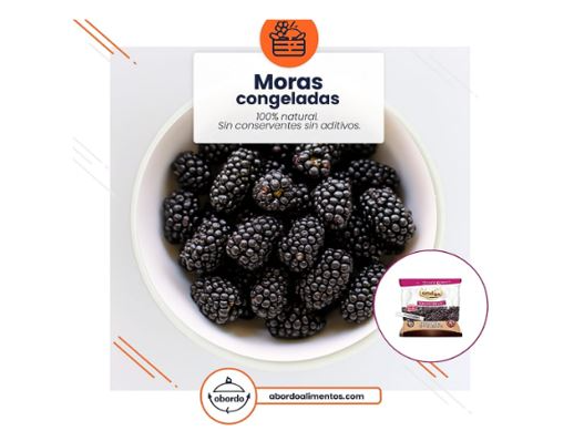 Moras x 300g - Quillen