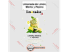 Limonada de limon + menta + pepino x 15un - Easy Frut