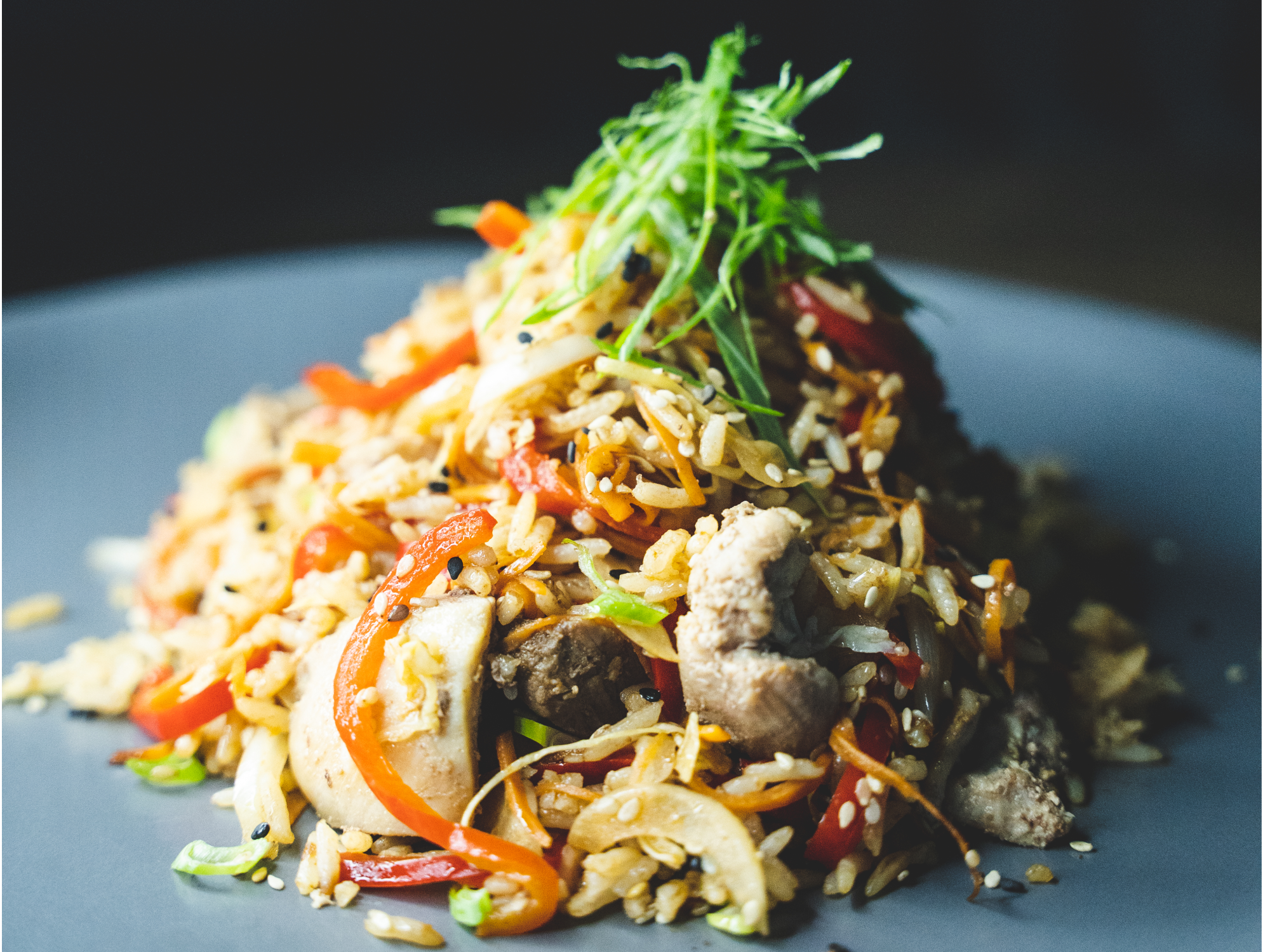 Wok de vegetales y arroz con pollo