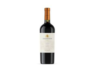 SALENTIEN RESERVA MALBEC