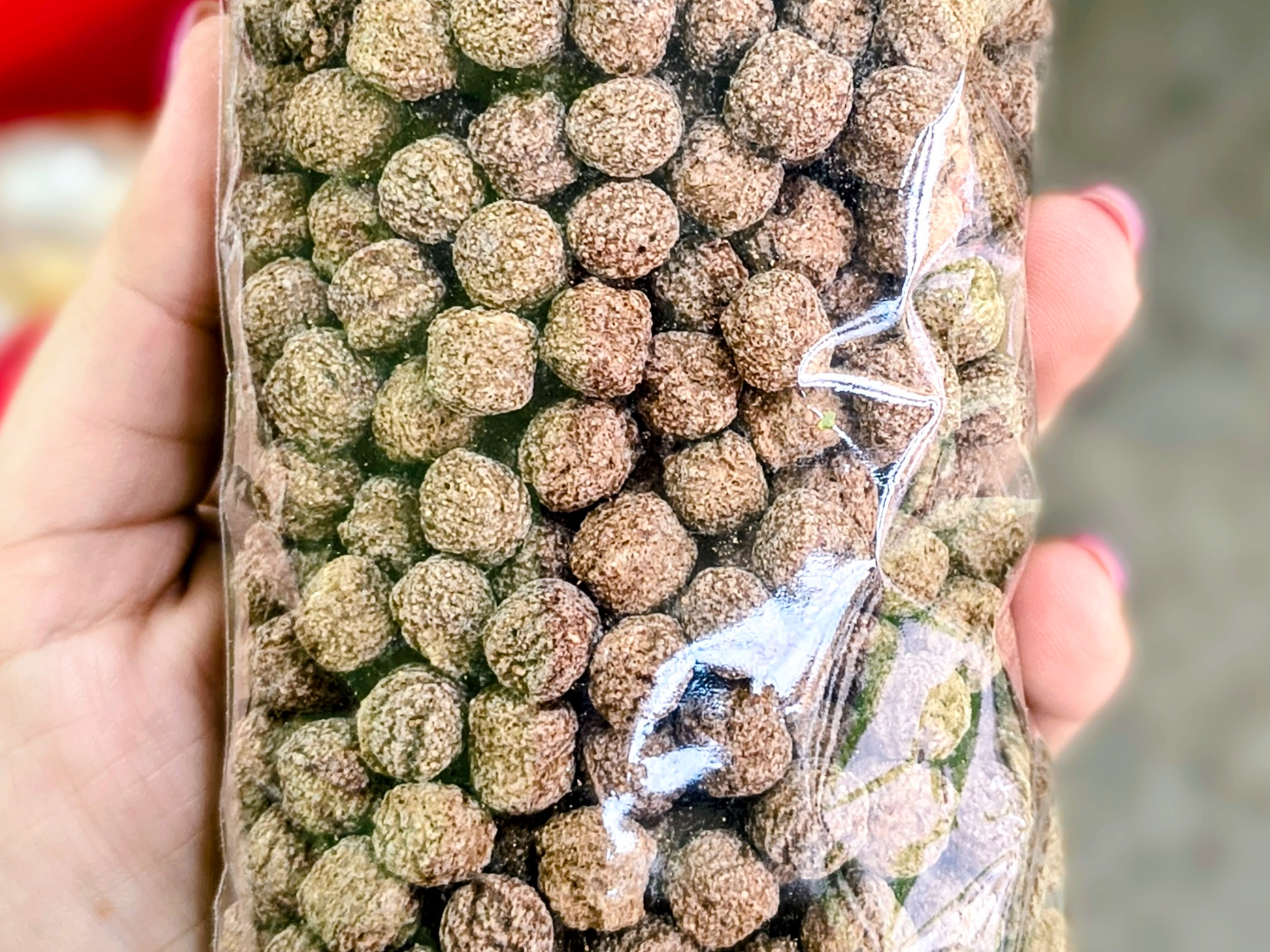 Bolitas de Chocolate