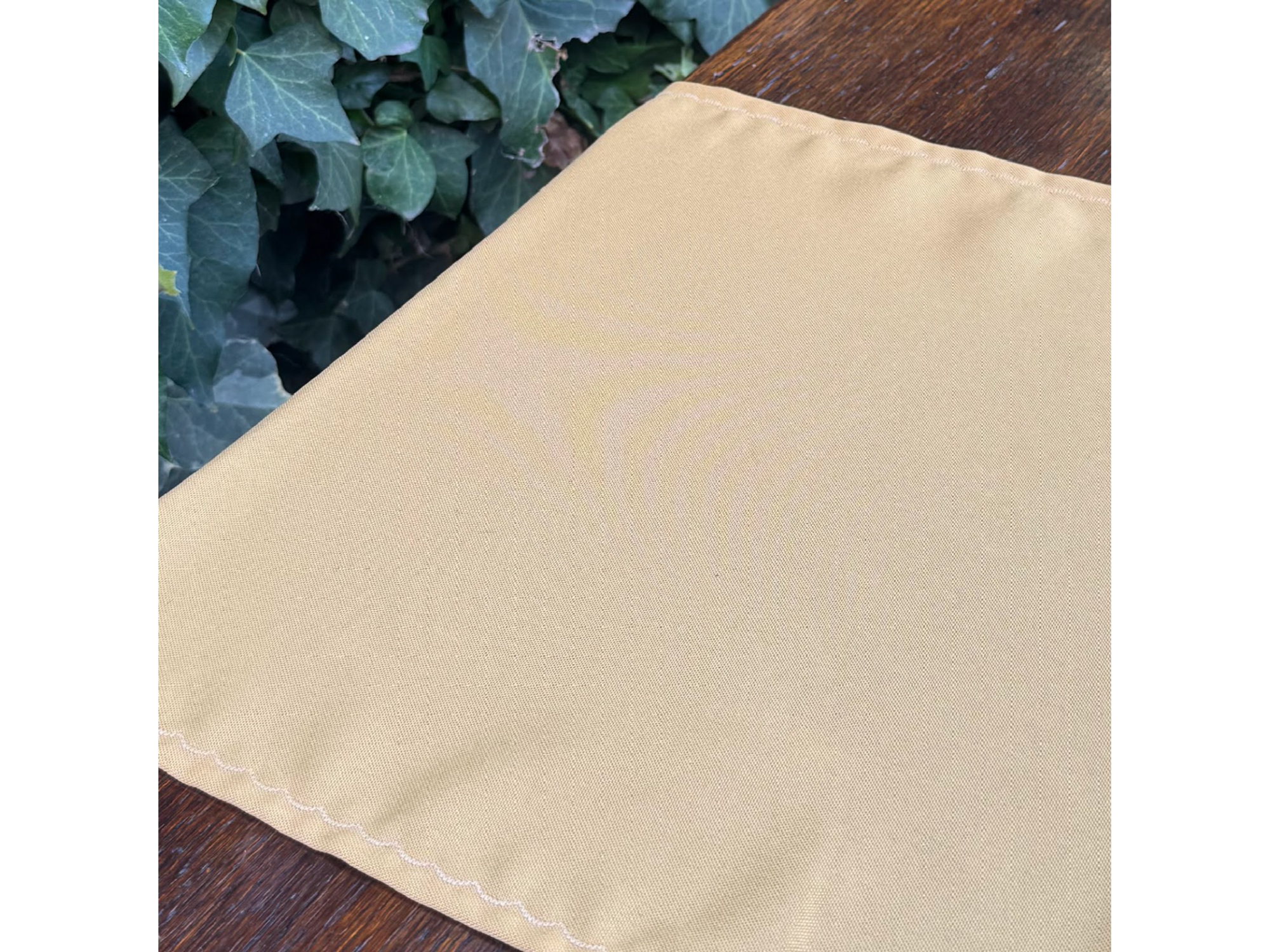 Camino  color Mostaza