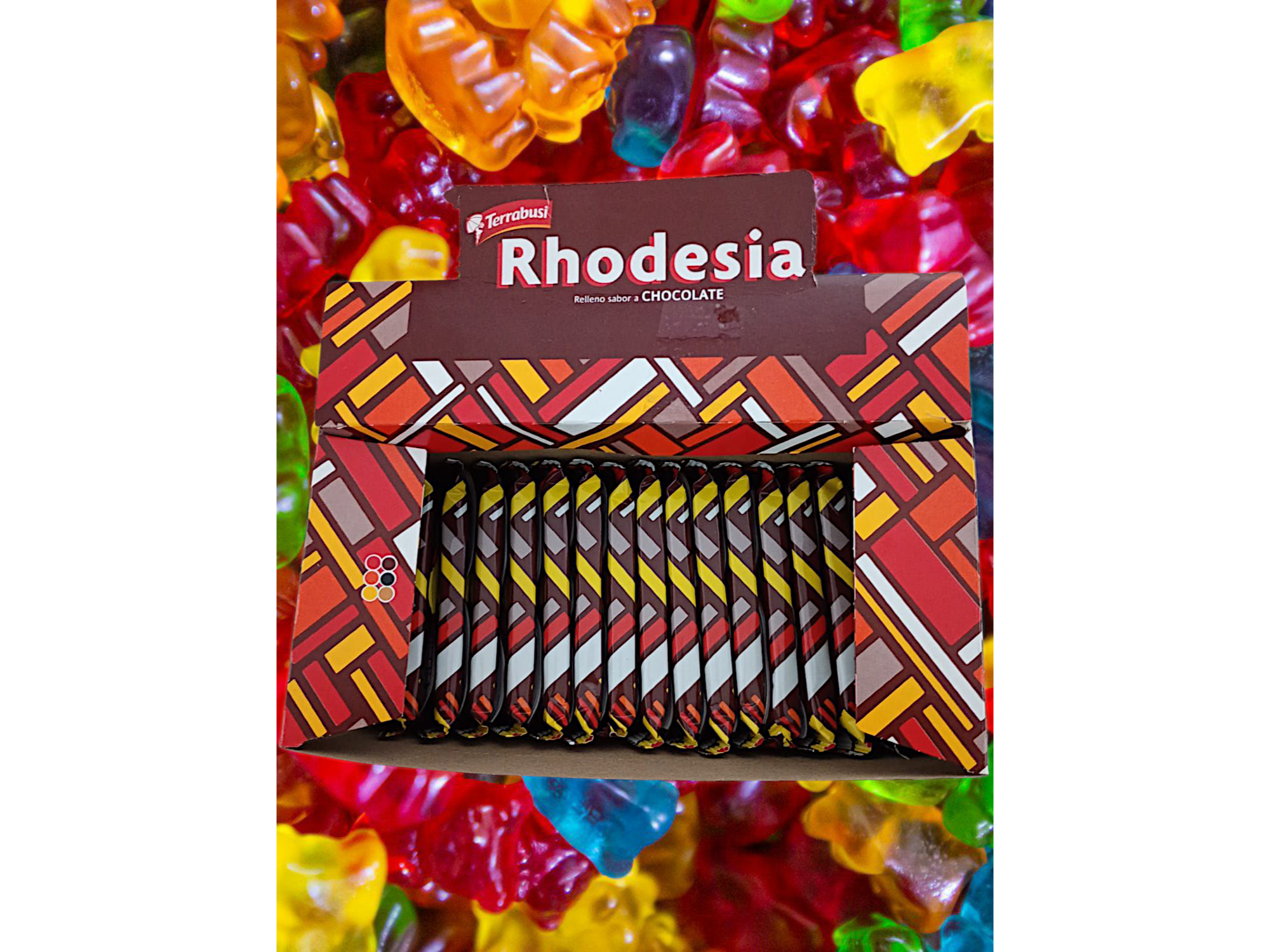 Chocolate Rhodesia