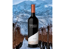 TERRAZAS DE LOS ANDES