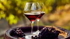 Vinos tinto