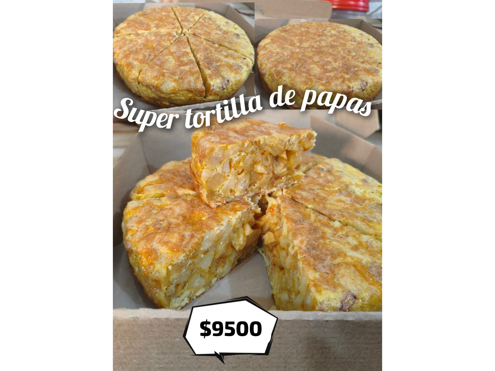 Tortilla comun
