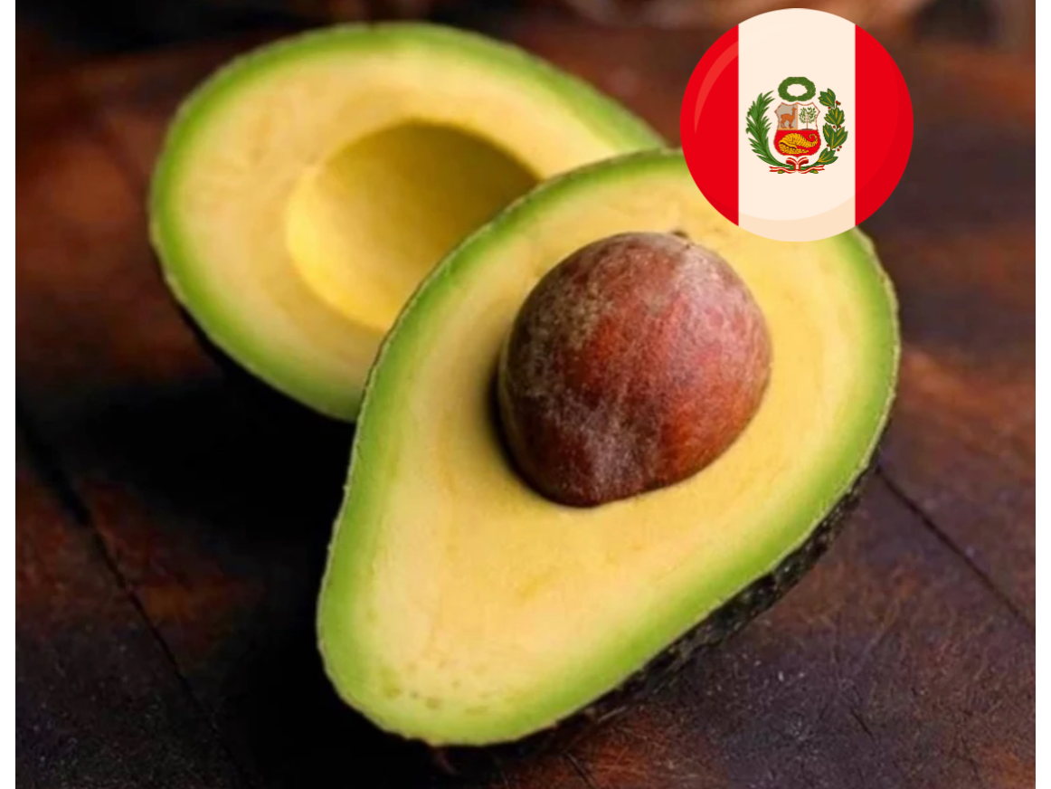 Palta Hass Importada - pequeñas