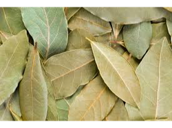 Laurel hoja