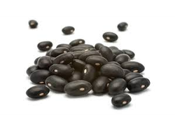Poroto Negro