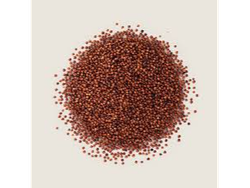 QUINOA ROJA