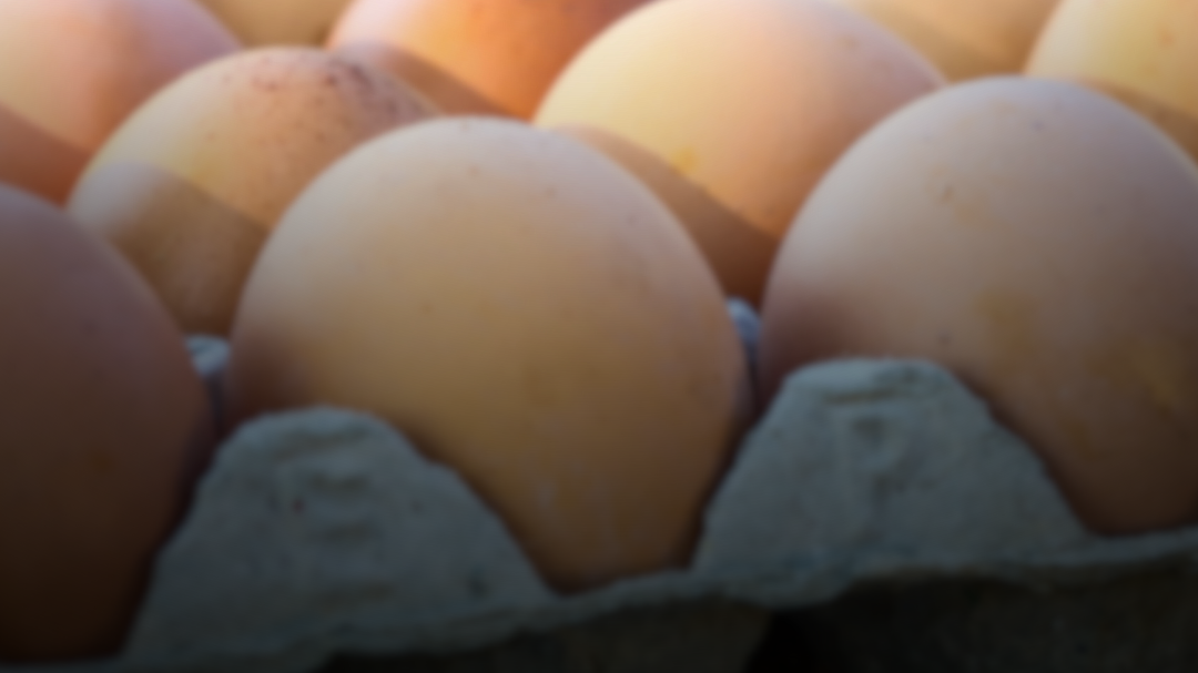 Huevos (libres de jaula)