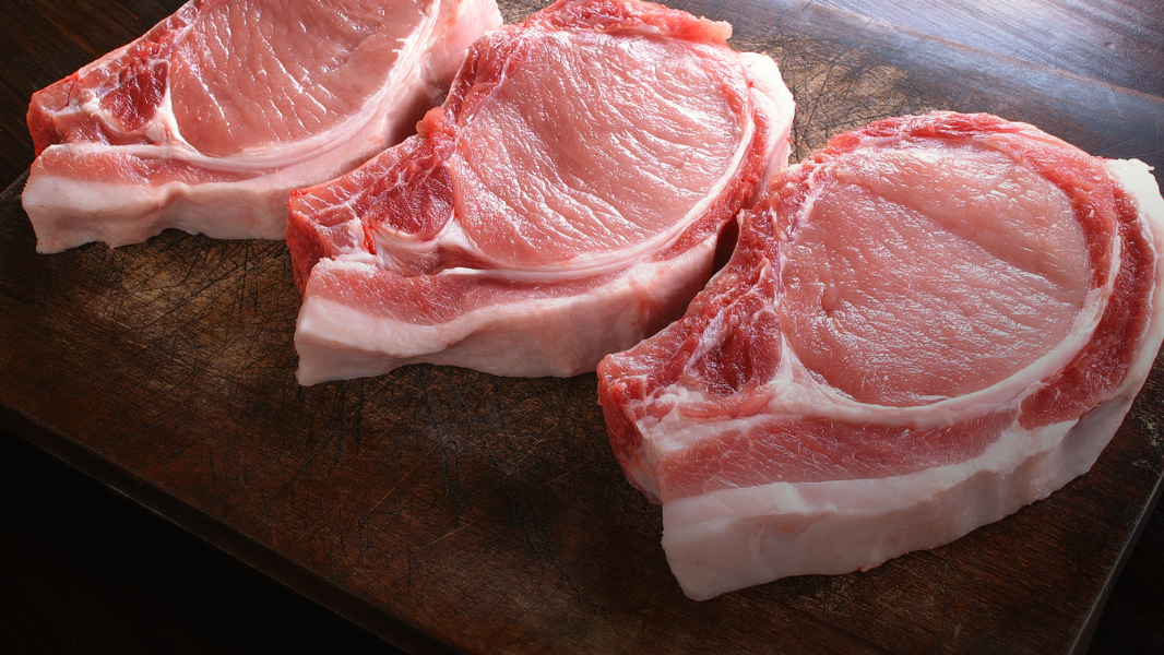 CERDO (desde 40 kg)