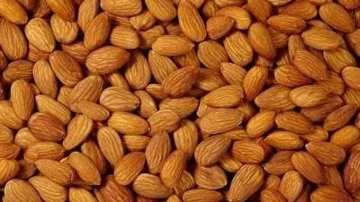 Almendras guara grande